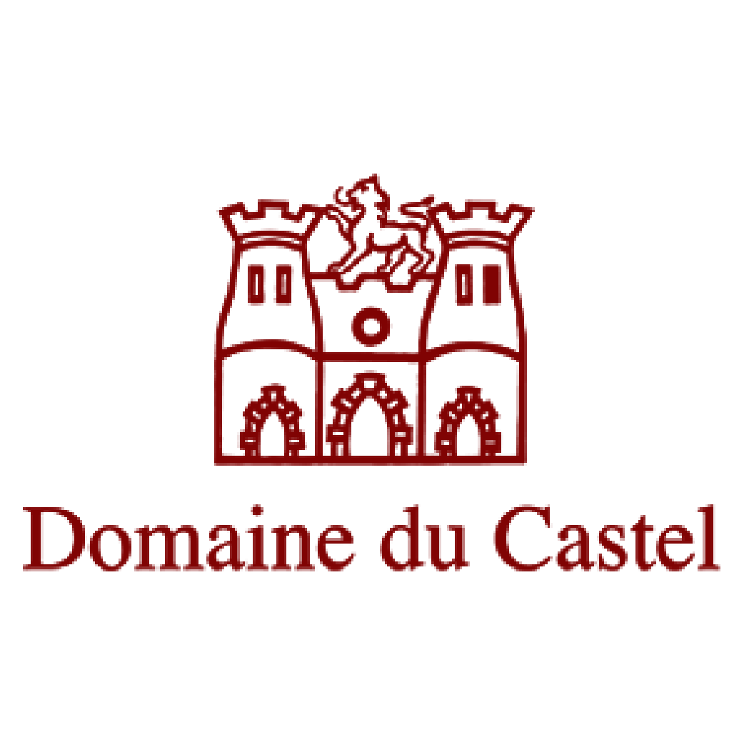 לוגו-דומיין דה קאסטל